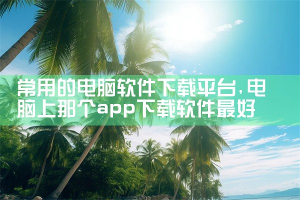 常用的电脑软件下载平台|抖阴