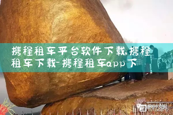 携程租车平台软件下载|抖阴