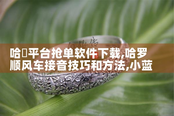 哈啰平台抢单软件下载|小蓝视频