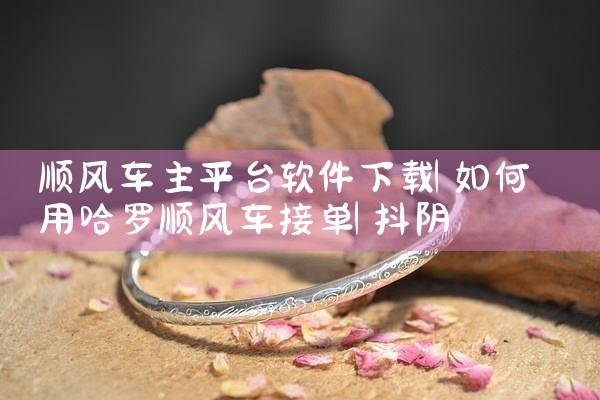 顺风车主平台软件下载|抖阴